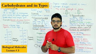 Carbohydrates  A type of biological molecule  Functions and Classification [upl. by Fattal667]