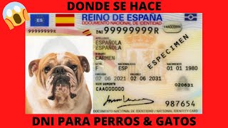 🔴DONDE se hace DNI PERROS amp GATOS🔴 [upl. by Sadoff237]