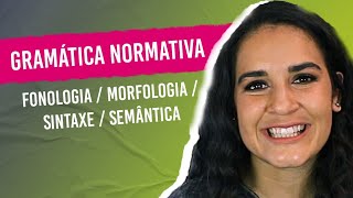 GRAMÁTICA NORMATIVA Fonologia Morfologia Sintaxe Semântica Aprenda a diferenciar [upl. by Orual]