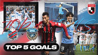 Hokkaido Consadole Sapporo vs Kawasaki Frontale  Top 5 Goals in The Last 5 Years [upl. by Gare98]