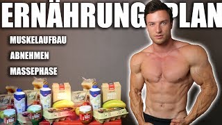 ERNÄHRUNG  So erreichst du deinen Traumkörper   Ernährungsplan und Supplements [upl. by Kcirdahs365]