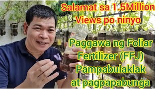 PAGGAWA NG FOLIAR FERTILIZER PAMPABULAKLAK AT PAMPABUNGA NG MGA HALAMAN with ENG subs [upl. by Mckale297]