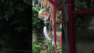 Furin Japanese Wind Chime [upl. by Malkah714]