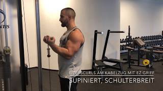 Armtraining  Bizepstraining Bizepscurls am Kabelzug mit EZ Griff supiniert schulterbreit [upl. by Lamphere]