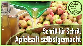 Einfach Lecker Apfelsaft selber machen  Schritt für Schritt incl haltbarmachen [upl. by Atniuqal712]