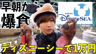 【朝から大食い】ディズニーシーにご飯だけ食べに行って好きなだけ爆食い！1人で1万円分食い切る！ [upl. by Yenettirb]