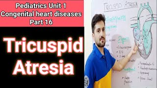 tricuspid atresia  cyanotic heart diseases  pathophysiology symptoms and surgical management [upl. by Ardelia]