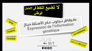 Expression de linformation génétique كيفاش تجاوب على تمارين  Relation gène protéine caractère [upl. by Doralynn834]