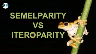 Semelparity vs Iteroparity  EvolutionExamples [upl. by Zelten]