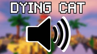 i need this kill sound effect in hypixel bedwars [upl. by Inail]