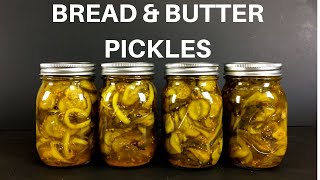 How to Make Bread and Butter Pickles  Bread and Butter Pickles Recipe  Refrigerator Pickles [upl. by Cassy]