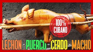 😋 LECHÓN ASADO CUBANO ► Cómo Hacer CERDO o PUERCO ASADO en PÚA [upl. by Elitnahc]