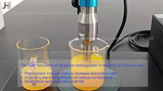 ultrasonic homogenizer for juice mixing sterilization [upl. by Esirahc]