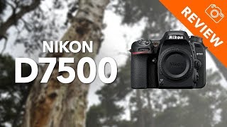 Nikon D7500 review  Kamera Express [upl. by Bernie]