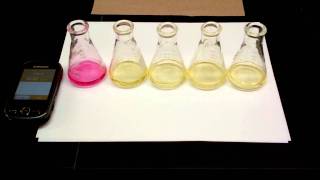 Hydrolysis of tButylChloride Kinetics Experiment 5 SN1 Reaction [upl. by Dolorita]