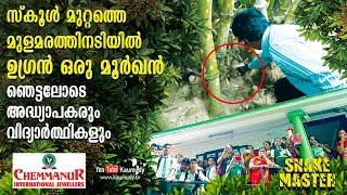 Shocked Teachers and Students see a Cobra in school  Vava Suresh  EP 402 [upl. by Eesdnil660]