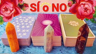 🔴 TAROT SI O NO ✅ TAROT interactivo HOY 💕 ELIGE HASTA 3 OPCIONES PARA 3 PREGUNTAS 🌞 Tarot reciente [upl. by Boelter375]