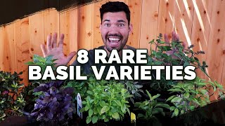 8 Basil Varieties You Might Not Know About [upl. by Ahpla]