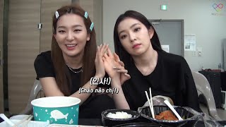 VIETSUB 200803 IRENE amp SEULGI Vlog  Monster Ver [upl. by Ulrikaumeko]