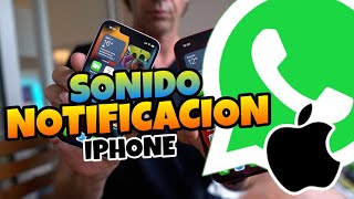 👉 Como CAMBIAR el SONIDO de NOTIFICACIONES de WHATSAPP en IPHONE 🔥 2024 [upl. by Ydnagrub]