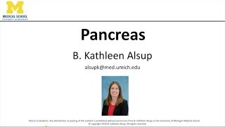 Pancreas Lecture [upl. by Bettina]