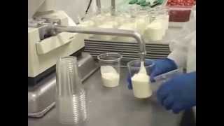 Vanilla Yogurt Deposit Filling 12oz Cups [upl. by Callean]