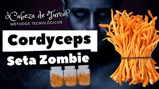 Cordyceps ¿El hongo que se apodera de tu cerebro o seta medicinal y milagrosa de la antiguedad [upl. by Dambro899]