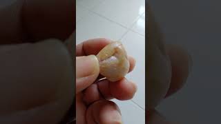 uncut natural rough diamond [upl. by Jerol625]