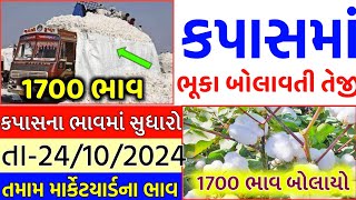 Kapas na bhav  24102024  કપાસના ભાવ2024  Information about cotton crop price  Commodity Trend [upl. by Kylynn]