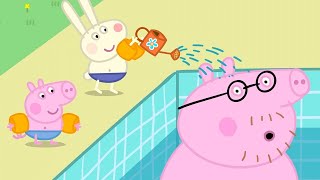 Daddy Pigs Swimming FAIL🏊 Peppa Pig Asia 🐽 Peppa Pig Full Episodes [upl. by Latreshia]