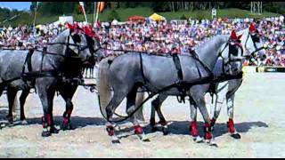 1 Hengstparade Marbach 2011  Hansjörg Hammann mit seinem LipizzanerGespann beim Hindernisfahren [upl. by Gleda]