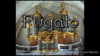 Toccata e Fugato in F minor [upl. by Wootan]