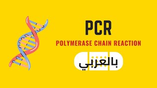 PCR Polymerase Chain Reaction شرح بالعربي [upl. by Marsh830]