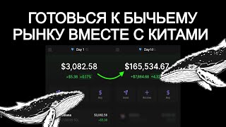 СЕКРЕТЫ КИТОВ И КРУПНЫХ ИГРОКОВ В КРИПТЕ хамстер комбат hamster combat блум blum ноткоин notcoin [upl. by Jordanna]