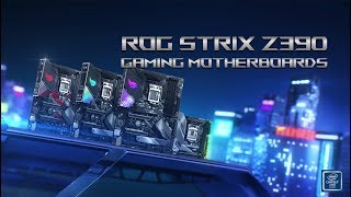 ROG Strix Z390 Series Gaming Motherboards  Rule the Game  ROG [upl. by Fidelas]