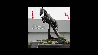 RIP HICKSTEAD 💔 Edited by HarlsFavFan [upl. by Porush]