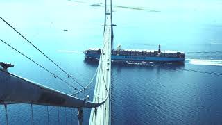 Watch the gigantic containership TripleE sailing under the Great Belt Bridge  Maersk [upl. by Curhan]