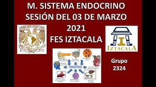 M Sistema Endocrino Sesión del Miércoles 03 de Marzo del 2021 [upl. by Catima]