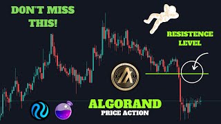 Stock Market CHAOS Algorand Ready to EXPLODE Cosmos Ecosystem on FIRE 🔥 [upl. by Eivol541]