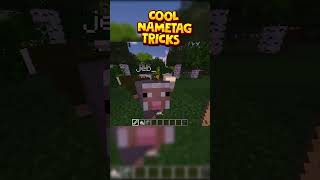 Cool Nametag Tricks in Minecraft minecraft [upl. by Oreves473]