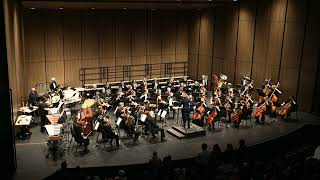 Billings Symphony performs the national anthem of Ukraine [upl. by Naujej]