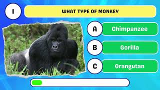 Monkey Species Quiz monkey quiz [upl. by Aneertak]