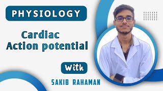 Cardiac muscle action potential  SA node  Cardiovascular system physiology CVS bangla lecture [upl. by Anihtyc]