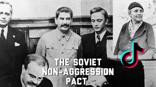 The MolotovRibbentrop Pact  History Matters Short Animated Documentary [upl. by Bidget]