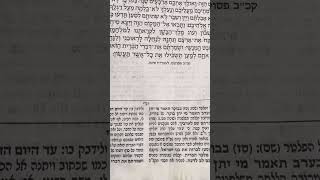 PARASHAS KI SAVO MAFTIR 2024 פרשת כי תבא מפטיר [upl. by Jobi]