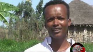 Gurage Ethiopian Traditional Music [upl. by Ahsirtak820]