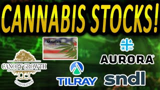 Time To Buy Weed Stocks Cannabis Stock Short Squeeze Cgc Tlry Sndl Acb Msos [upl. by Lilaj]