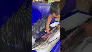 Indo Pacific sailfish cutting [upl. by Petula]