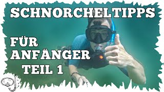 10 Schnorcheltipps für Anfänger  Teil 1  Schnorcheln lernen [upl. by Dlanigger]