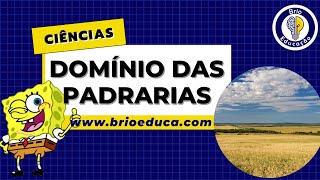 Domínio morfoclimático das pradarias  Brio Educação [upl. by Eceeryt]